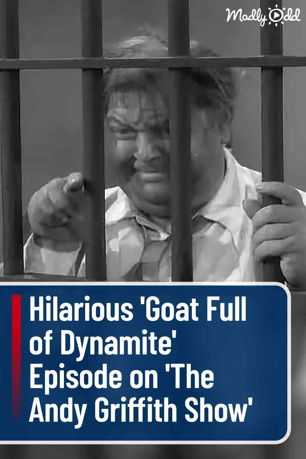 Hilarious \'Goat Full of Dynamite\' Episode on \'The Andy Griffith Show\'