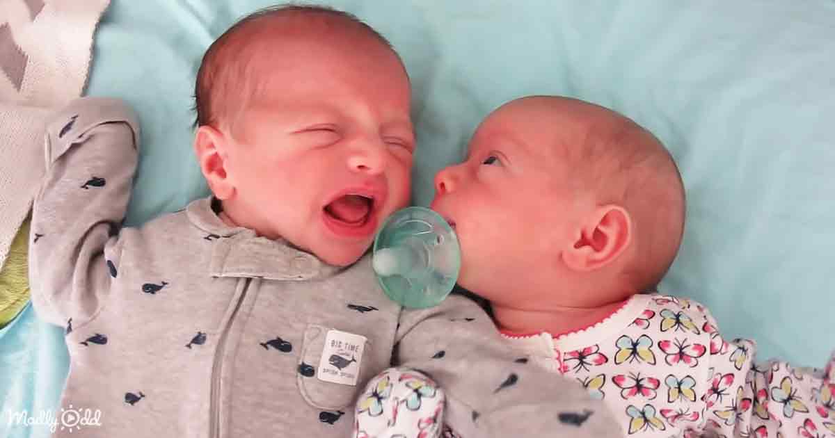 Newborn Twins Battle Over A Pacifier With Adorably Funny Results – Madly  Odd!