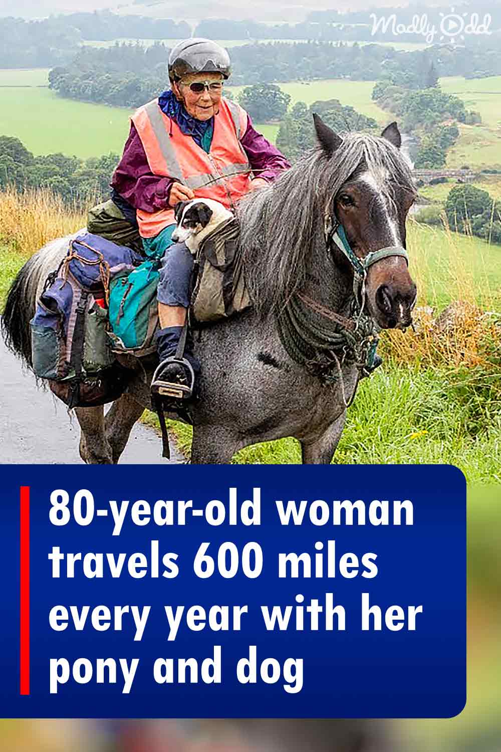 80-year-old woman travels 600 miles every year with her pony and dog