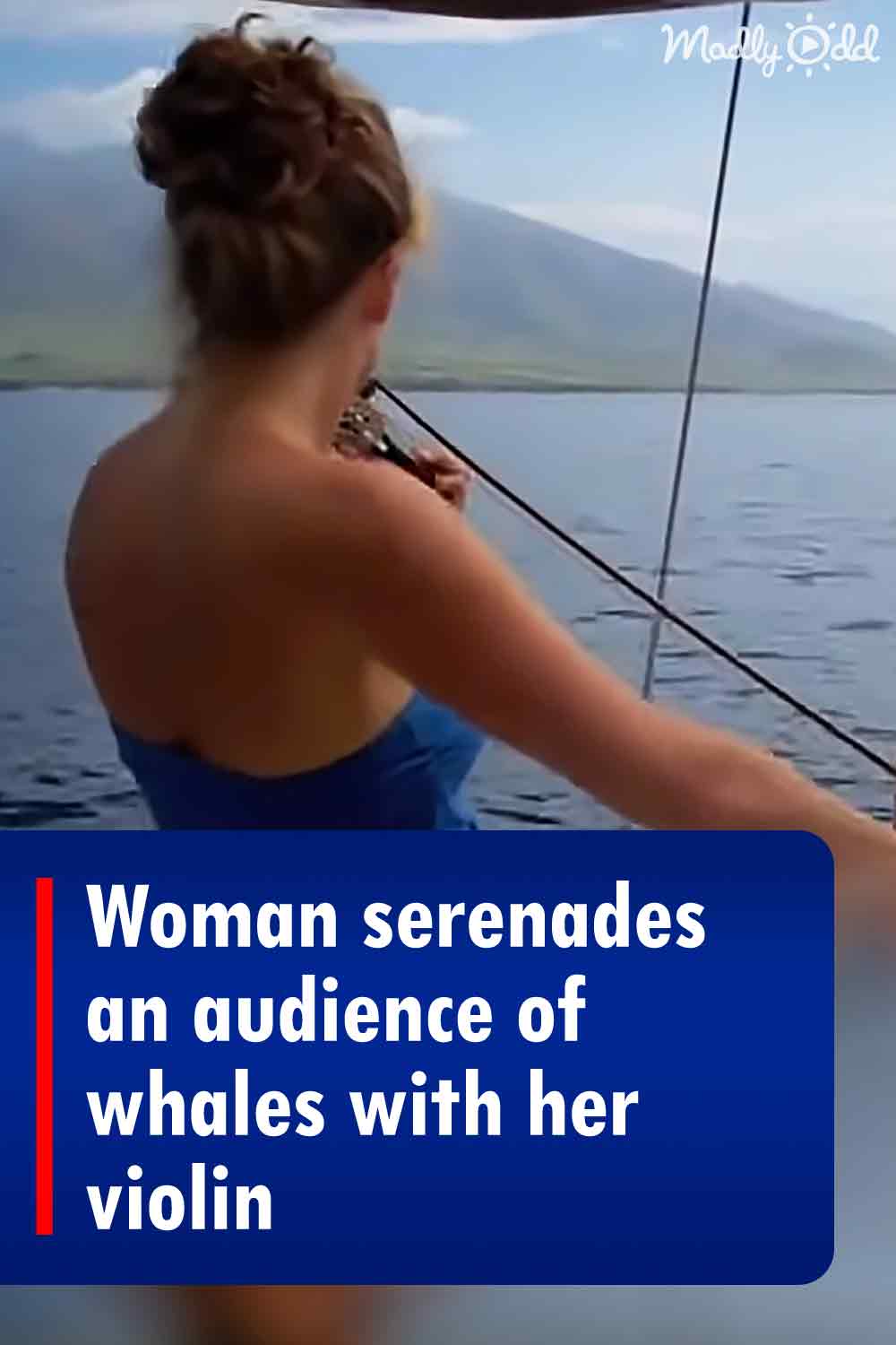 Woman serenades an audience of whales with her violin