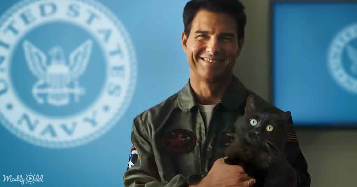 Tom Cruise and Kitty