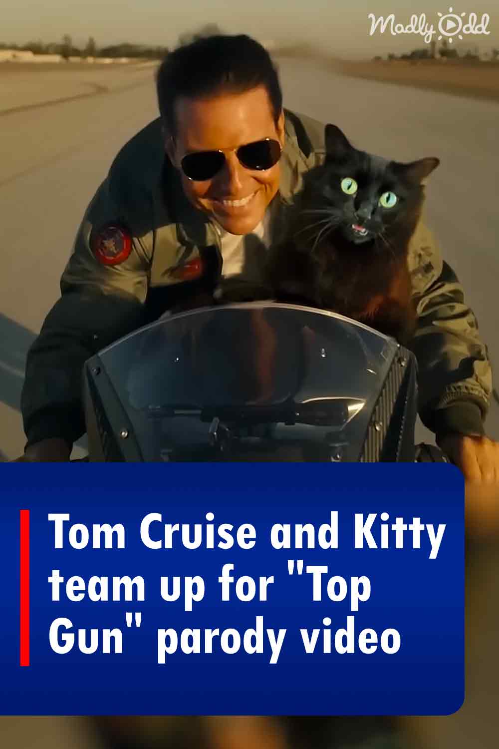 Tom Cruise and Kitty team up for \