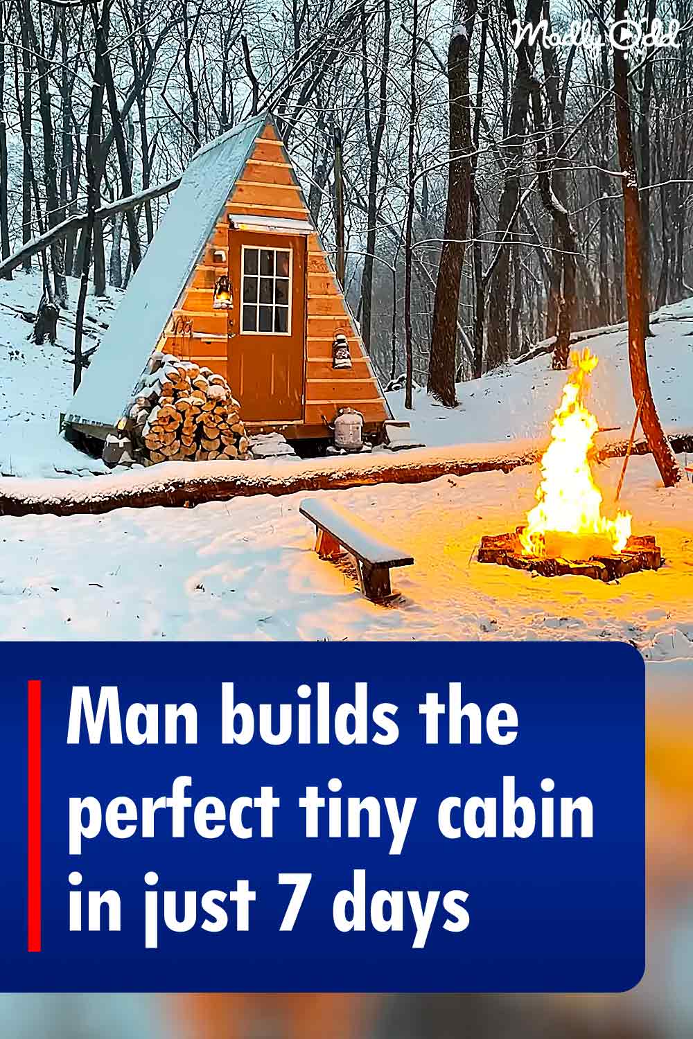 Man builds the perfect tiny cabin in just 7 days
