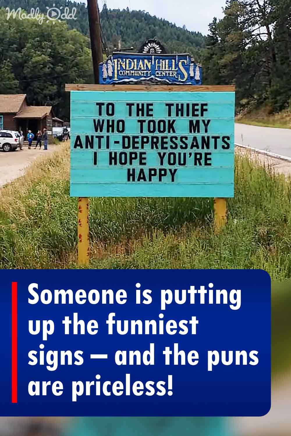 Someone is putting up the funniest signs – and the puns are priceless!