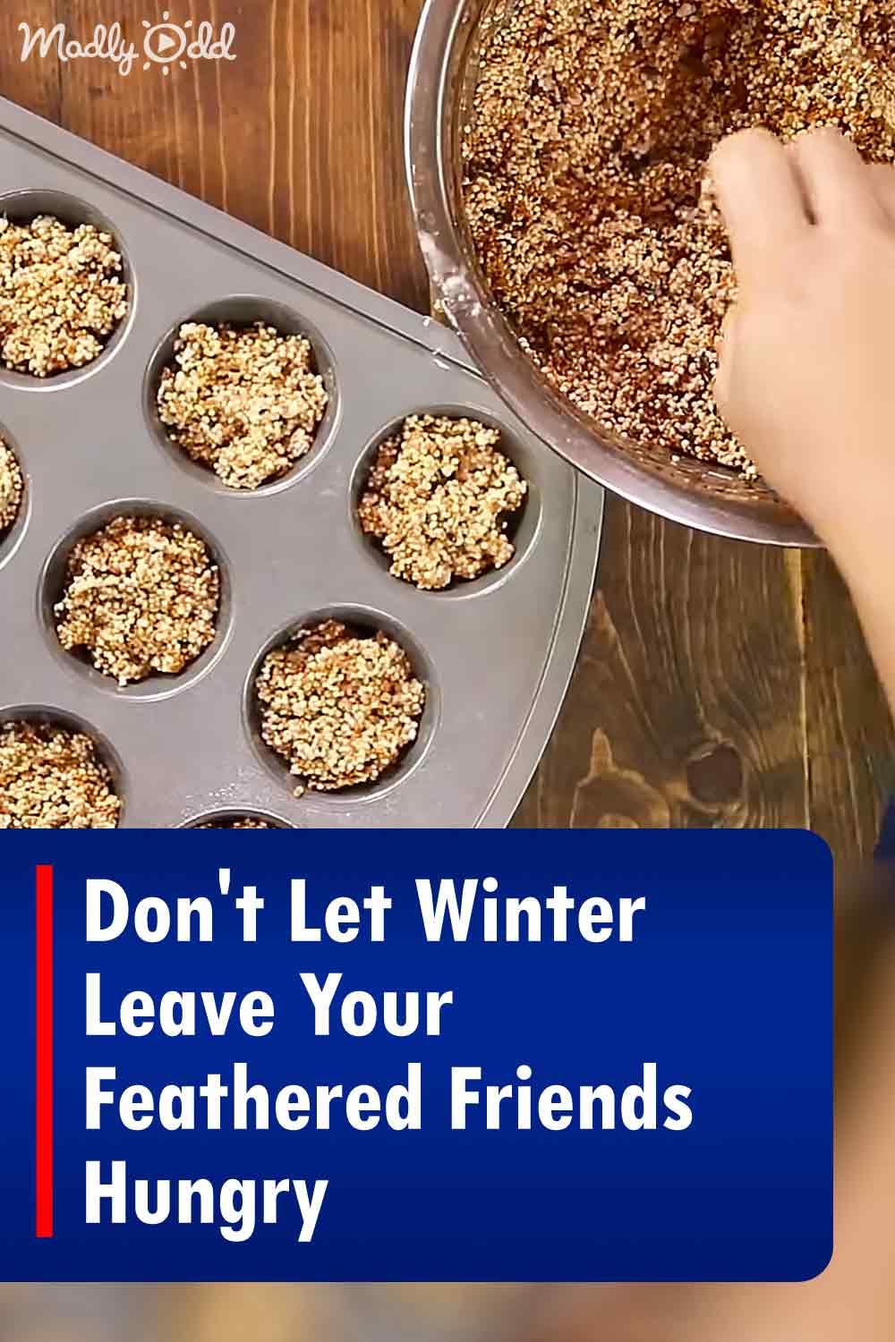 Don\'t Let Winter Leave Your Feathered Friends Hungry