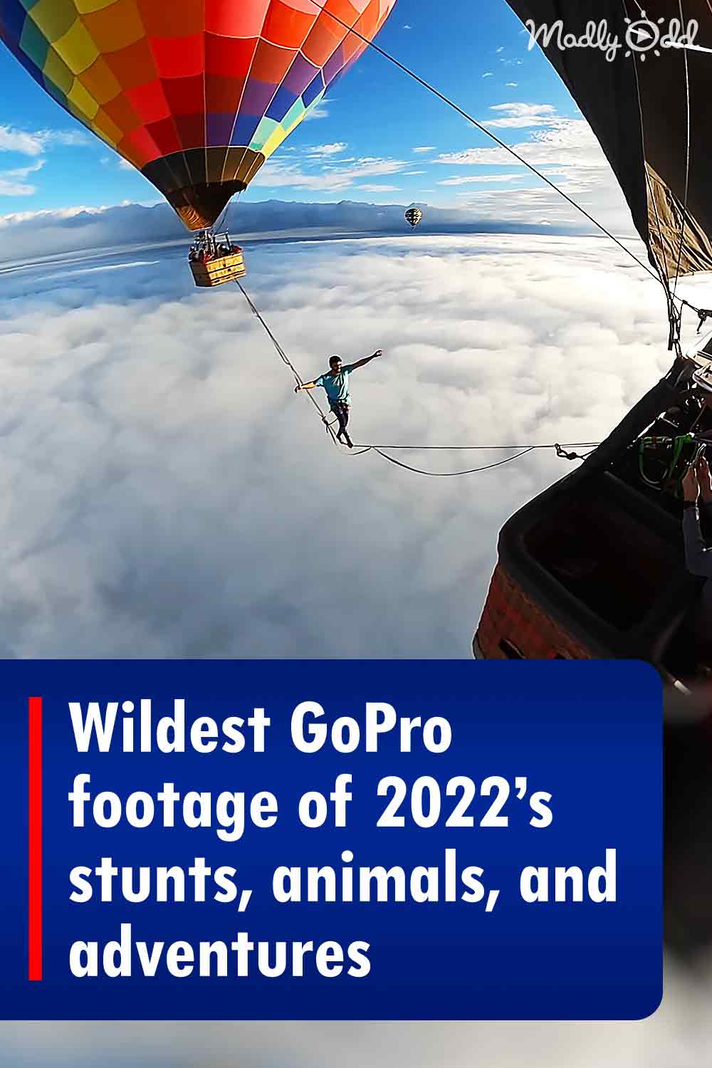 Wildest GoPro footage of 2022’s stunts, animals, and adventures