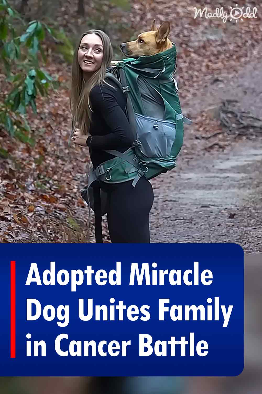 Adopted Miracle Dog Unites Family in Cancer Battle