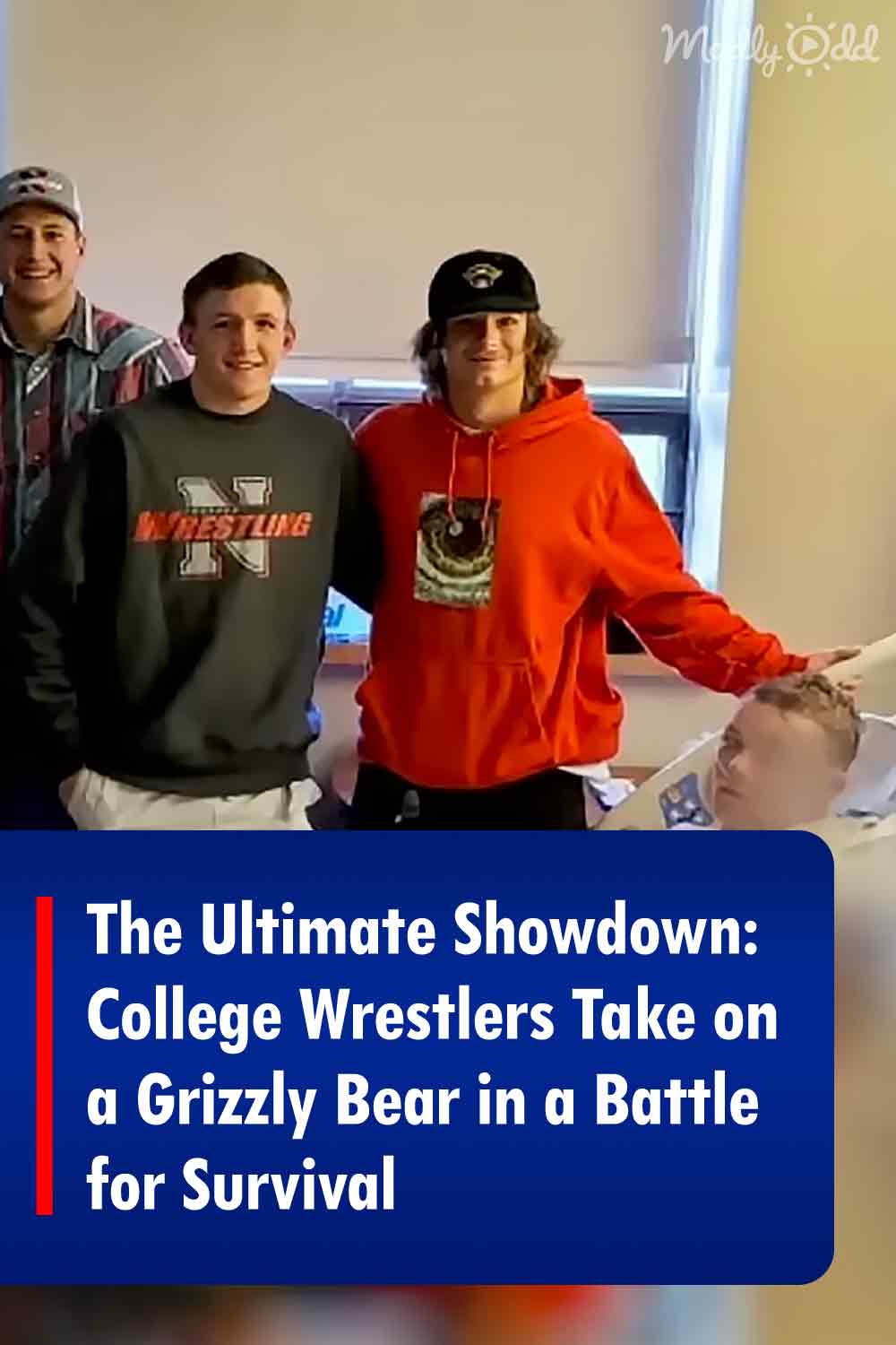 The Ultimate Showdown: College Wrestlers Take on a Grizzly Bear in a Battle for Survival