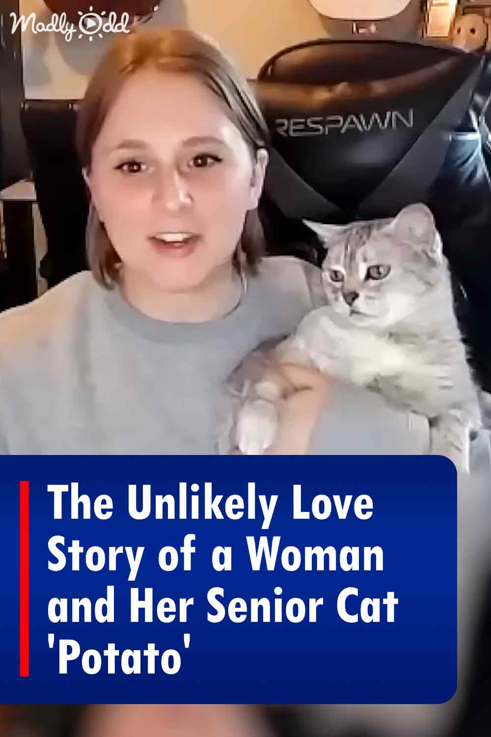 The Unlikely Love Story of a Woman and Her Senior Cat \'Potato\'