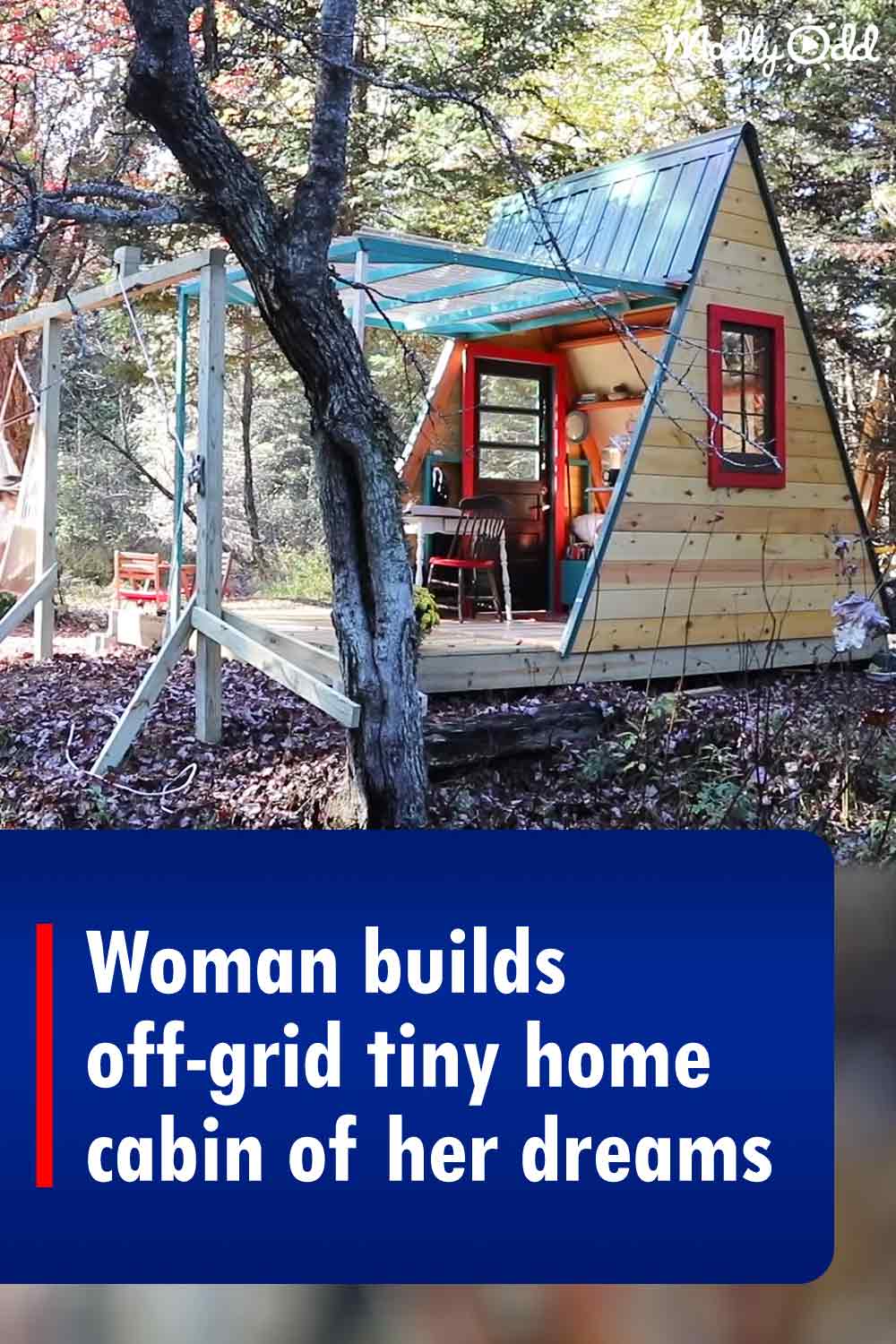 Woman builds off-grid tiny home cabin of her dreams