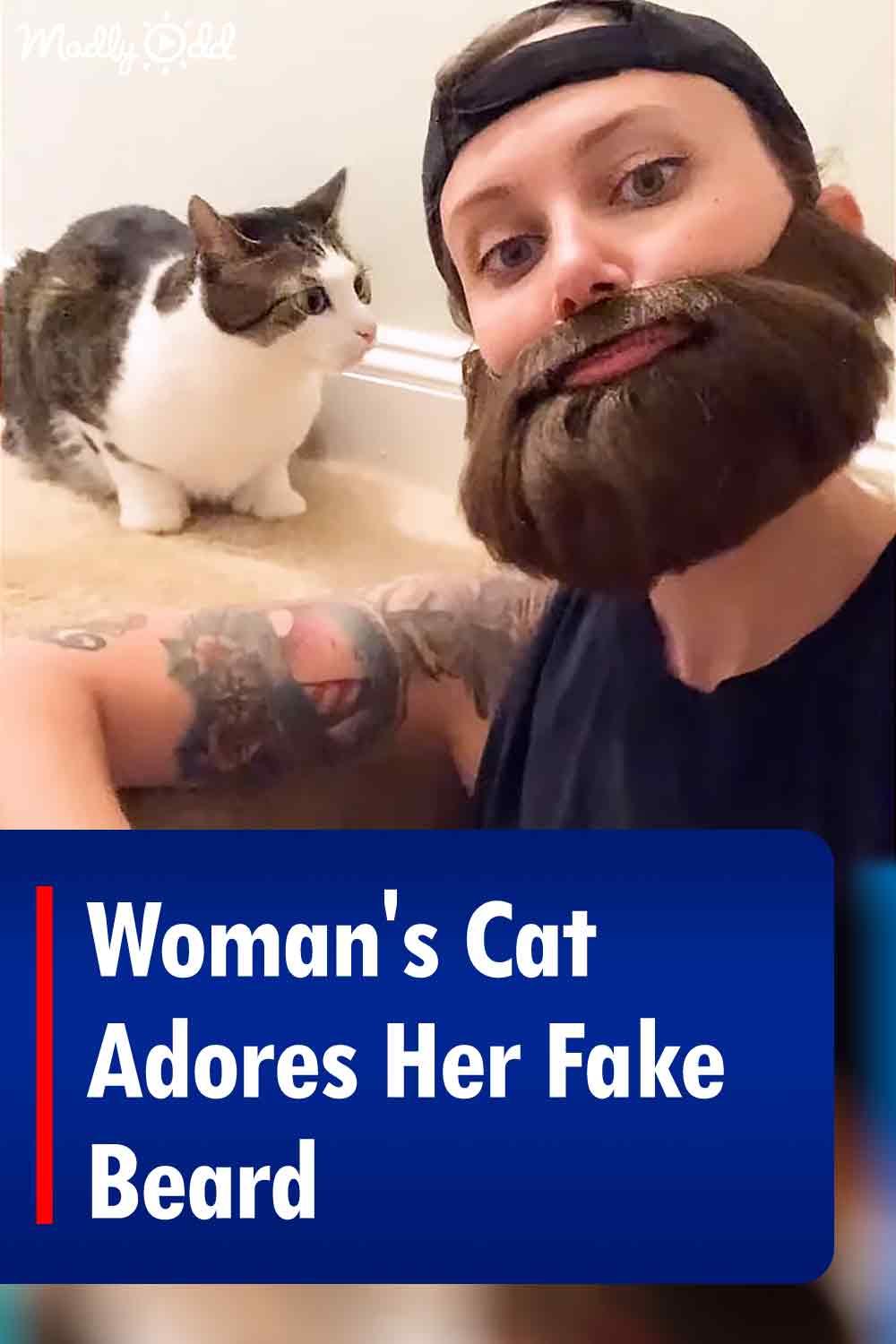 Woman\'s Cat Adores Her Fake Beard