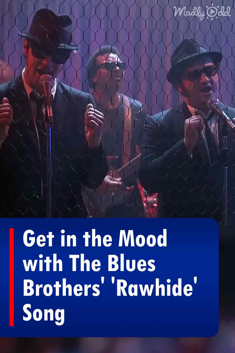 Get in the Mood with The Blues Brothers\' \'Rawhide\' Song