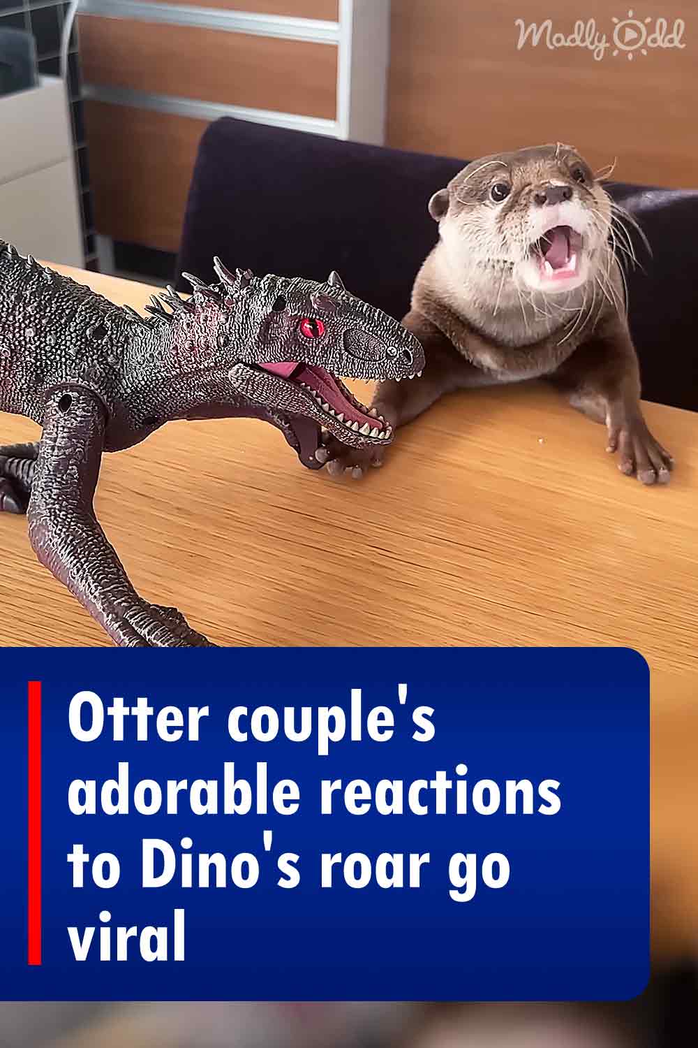 Otter couple\'s adorable reactions to Dino\'s roar go viral