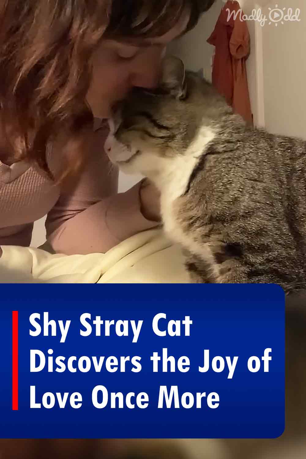 Shy Stray Cat Discovers the Joy of Love Once More