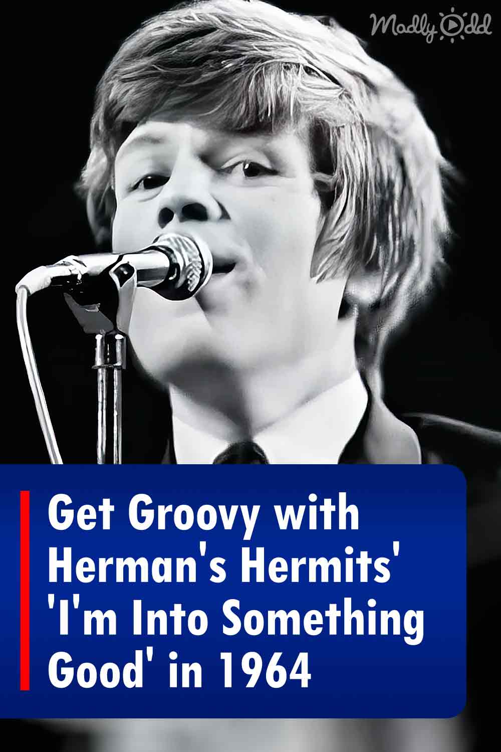Get Groovy with Herman\'s Hermits\' \'I\'m Into Something Good\' in 1964