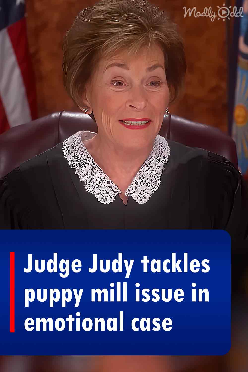 Judge Judy tackles puppy mill issue in emotional case