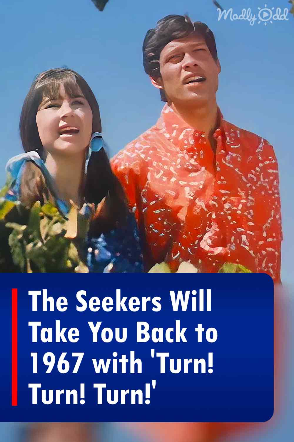The Seekers Will Take You Back to 1967 with \'Turn! Turn! Turn!\'