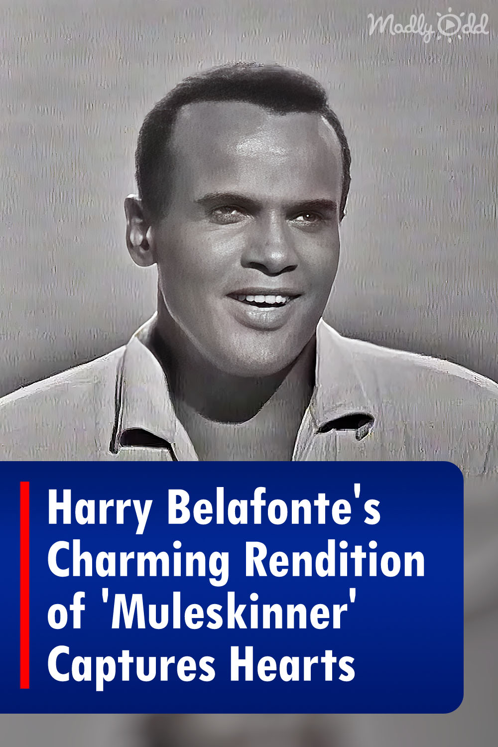 Harry Belafonte\'s Charming Rendition of \'Muleskinner\' Captures Hearts