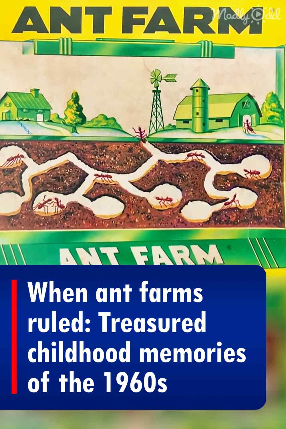 When ant farms ruled: Treasured childhood memories of the 1960s
