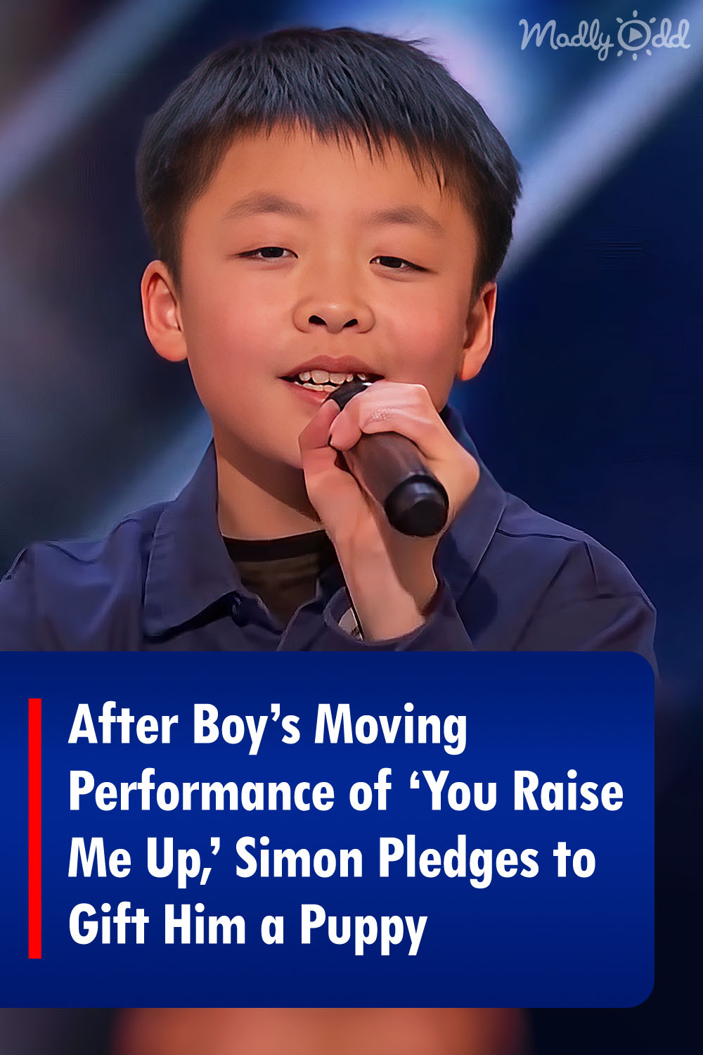 After Boy\'s Moving Performance of \'You Raise Me Up,\' Simon Pledges to Gift Him a Puppy