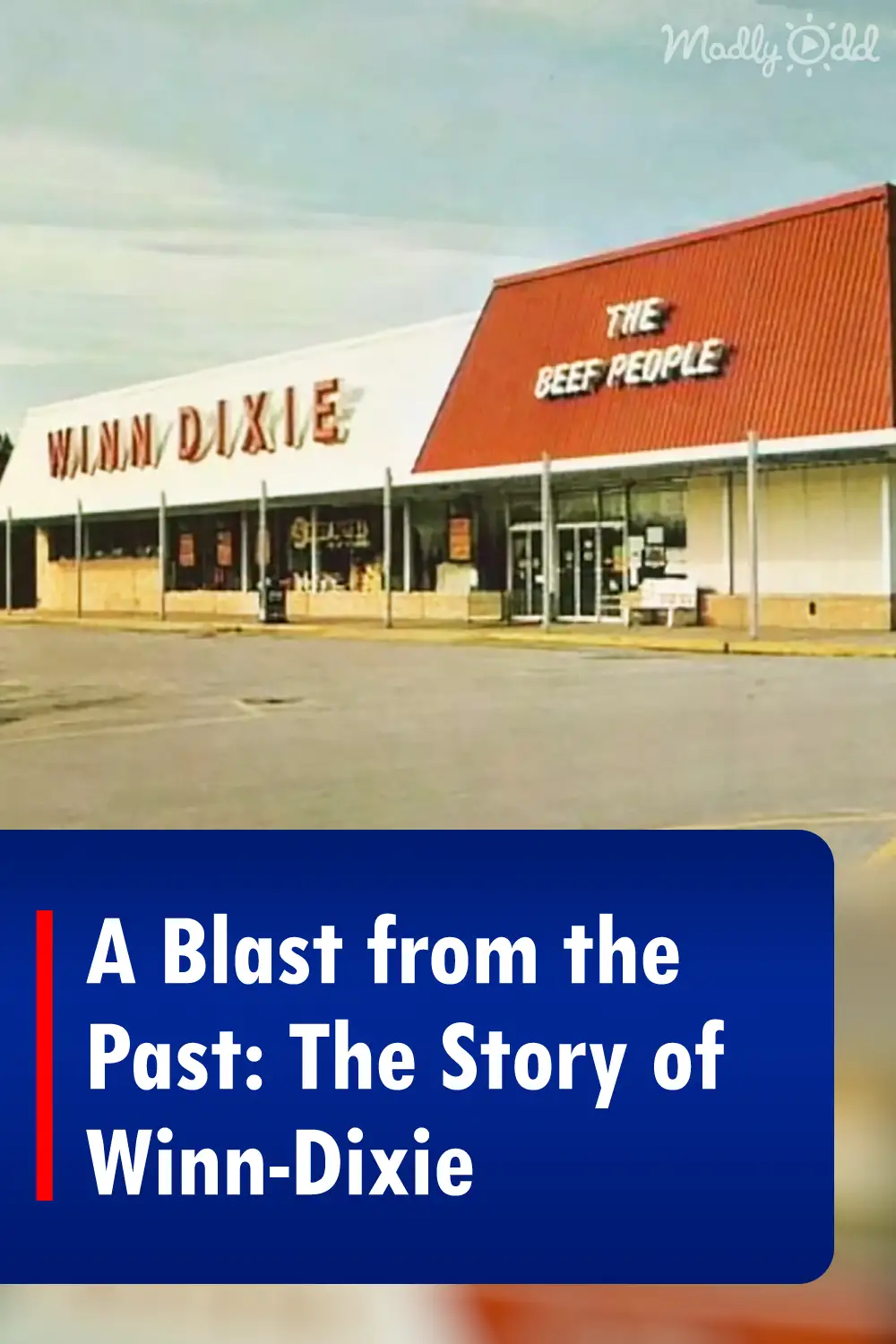 A Blast from the Past: The Story of Winn-Dixie
