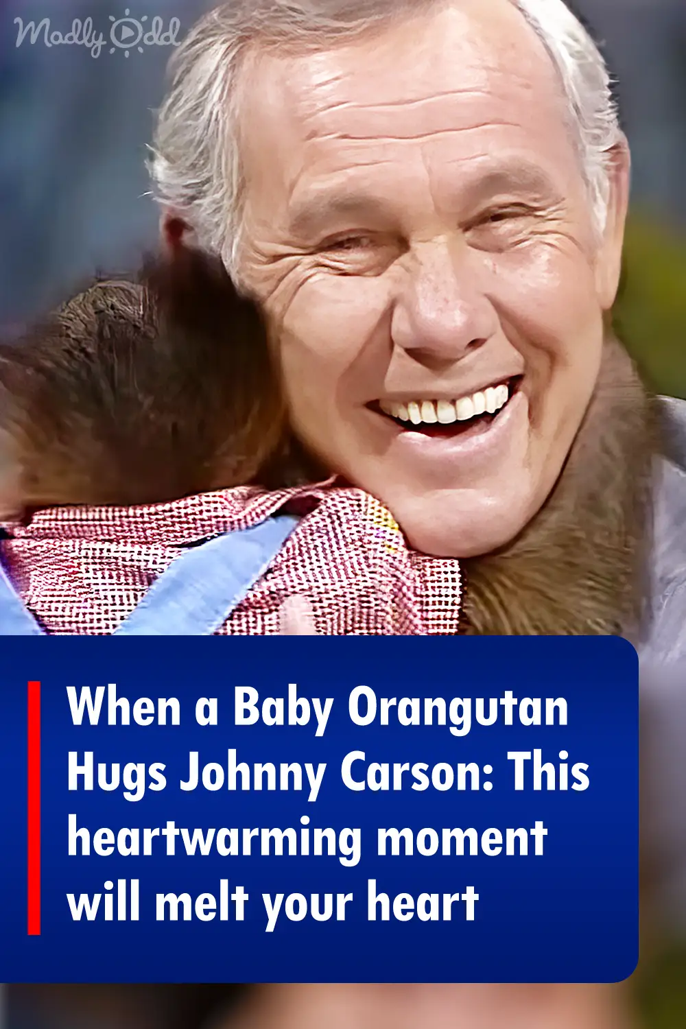 When a Baby Orangutan Hugs Johnny Carson: This heartwarming moment will melt your heart