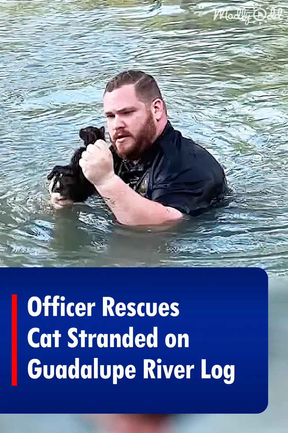 Officer Rescues Cat Stranded on Guadalupe River Log