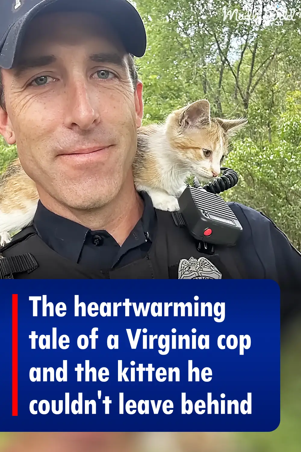 The heartwarming tale of a Virginia cop and the kitten he couldn\'t leave behind