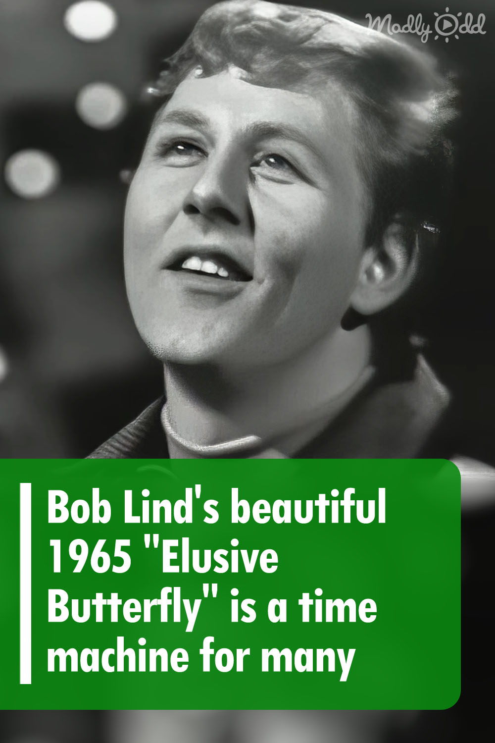 Bob Lind\'s beautiful 1965 \