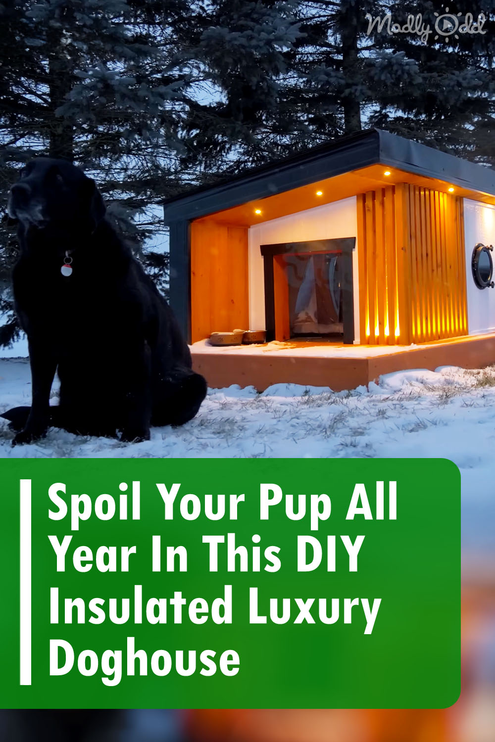 Spoil Your Pup All Year In This DIY Insulated Luxury Doghouse