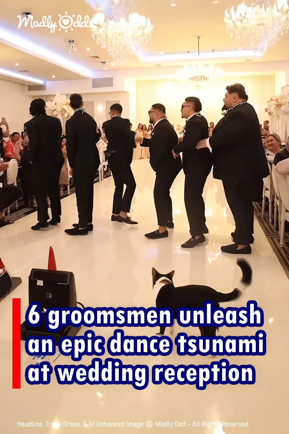 6 groomsmen unleash an epic dance tsunami at wedding reception