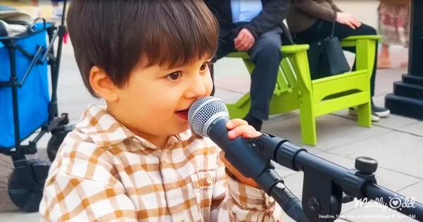 Adorable 3-Year-Old Wows with a Soulful Rendition of “Can’t Help ...